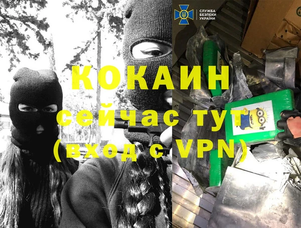 крисы Алексин