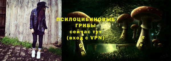 не бодяженный Абаза